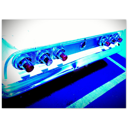 Aluminum Print - Wings