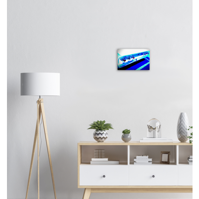 Aluminum Print - Wings