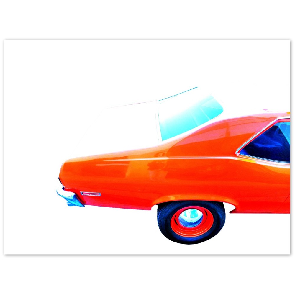 Aluminum Print - 350 Baby