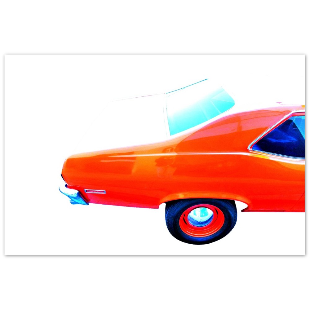 Aluminum Print - 350 Baby